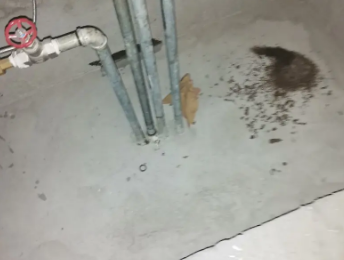 潞城卫生间测漏水价格明细